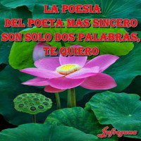 /album/fotogaleria/l-poesia1-jpg1/